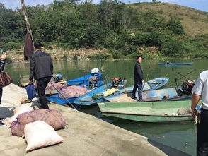 貴州安順市畜牧獸醫(yī)局開(kāi)展?jié)O業(yè)船舶安全生產(chǎn)隱患大檢查 筑牢畜牧漁業(yè)飼料銷(xiāo)售安全防線(xiàn)